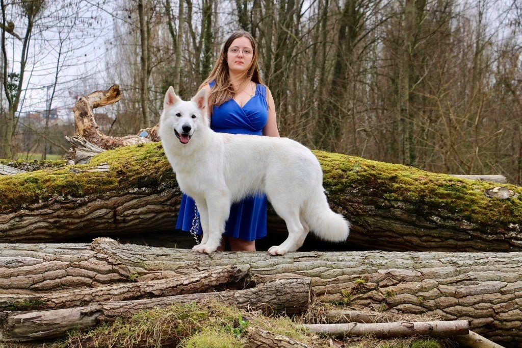 Thanos elton star De La Vallée Du Rêve Blanc